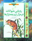 Click to See Details!